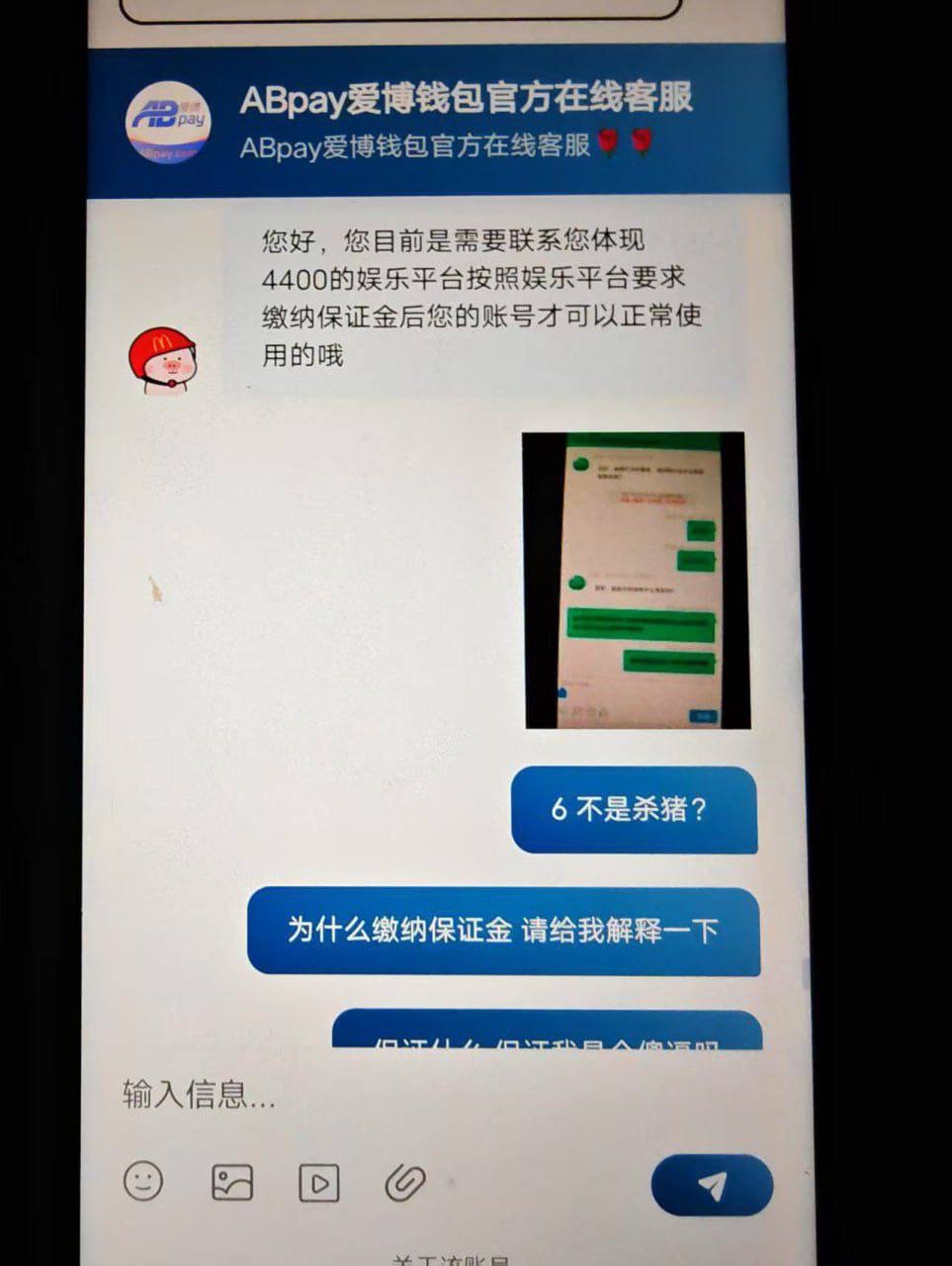 必博体育与abpay钱包联手杀猪套娃